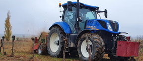 Stockroden durch die Firma Gnauer Agrardienst