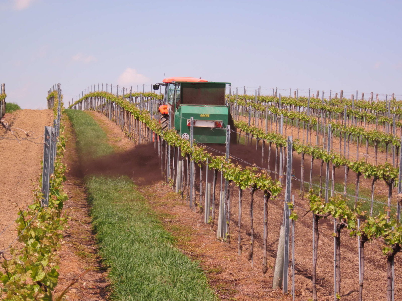 Weinbau der Firma Gnauer Agrardienst