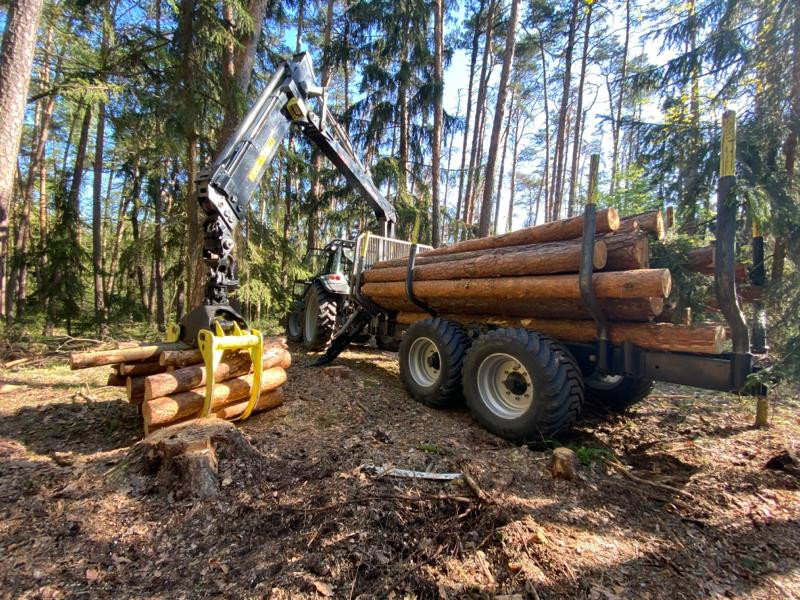 Holzschlägerung durch die Firma Gnauer Agrardienst