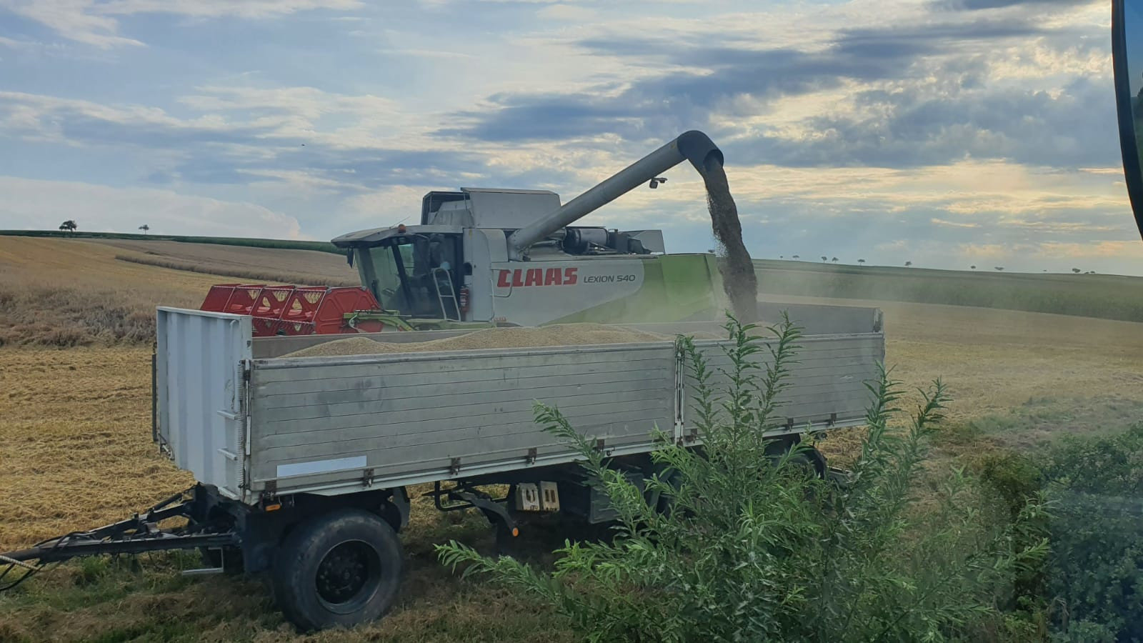 Arbeiten der Firma Gnauer Agrardienst