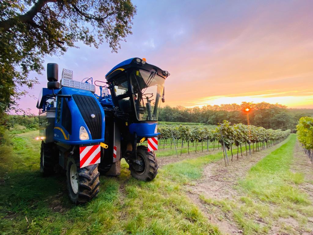 Weinbau durch die Firma Gnauer Agrardienst