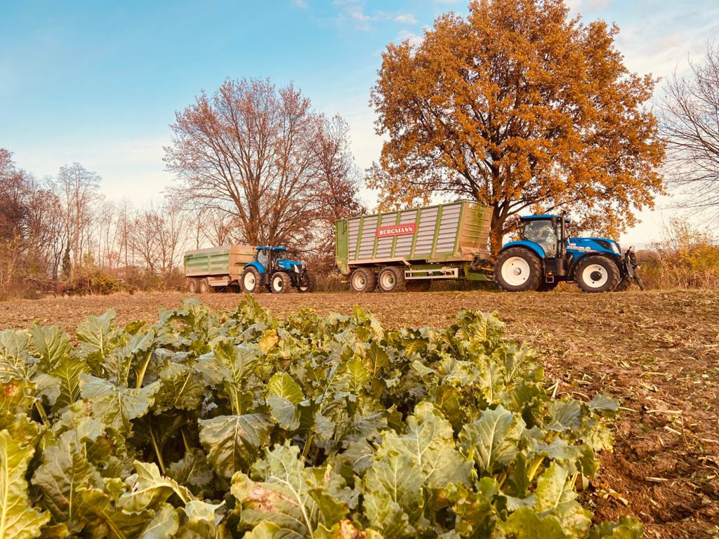 landwirtschaftliche Dienstleistungen der Firma Gnauer Agrardienst