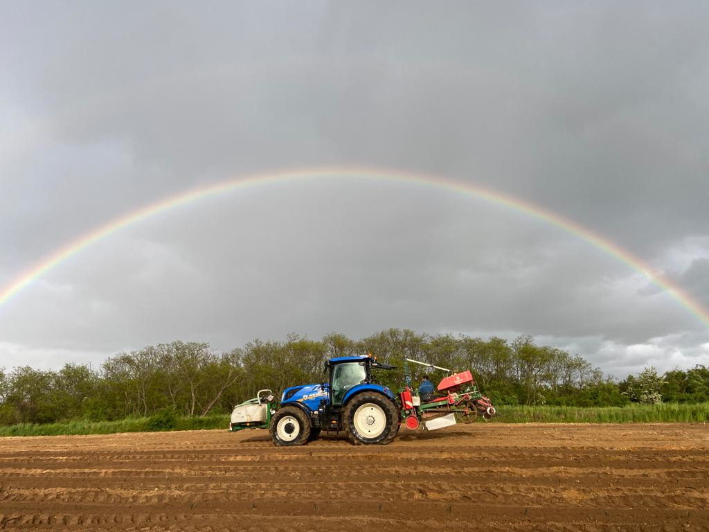 Ackerbau durch die Firma Gnauer Agrardienst