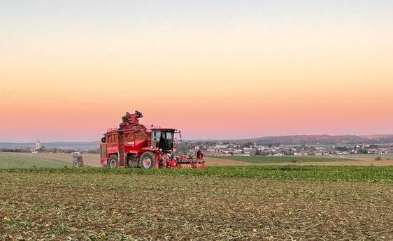 Ernte durch die Firma Gnauer Agrardienst