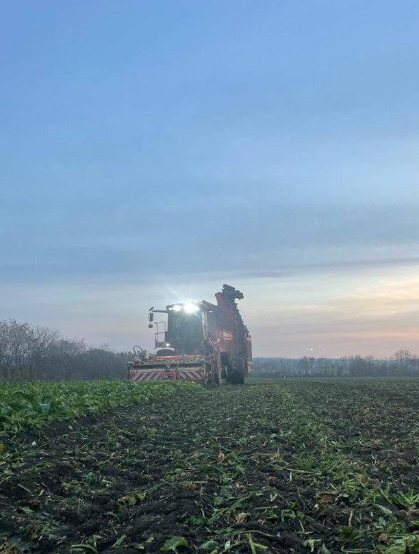 Zuckerrübenvollernter von Gnauer Agrardienst