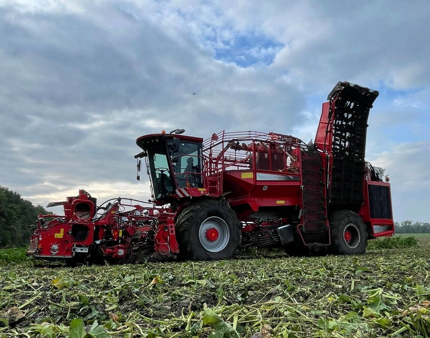 Zuckerrübenernte durch die Firma Gnauer Agrardienst