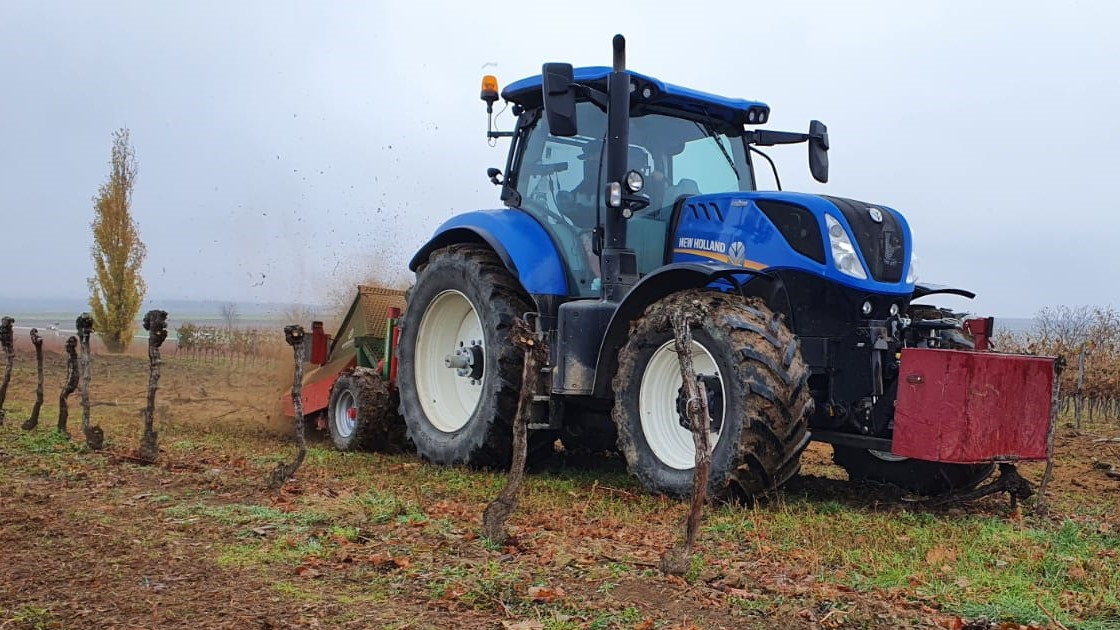 Roden von Weingärten durch die Firma Gnauer Agrardienst