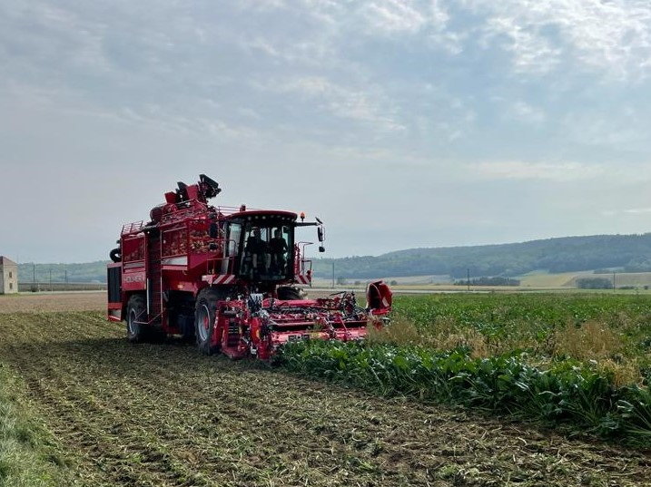 Zuckerrübenvollernter der Firma Gnauer Agrardienst